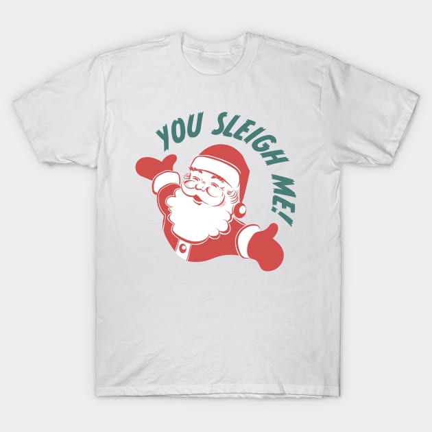 You Sleigh Me! T-Shirt by burlybot